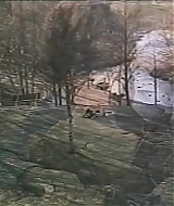 308.jpg