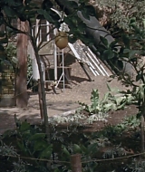 192.jpg