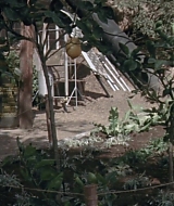 193.jpg