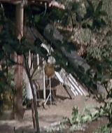 194.jpg