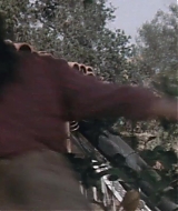 195.jpg