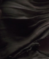 1194.jpg