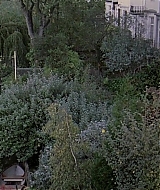 1977.jpg